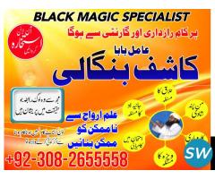 Professional Amil baba, Black magic specialist