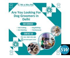 Best Dog Groomers in Delhi