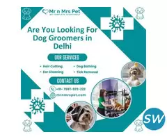 Best Dog Groomers in Delhi