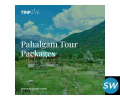 pahalgam tour packages