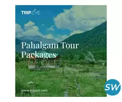 pahalgam tour packages - 1