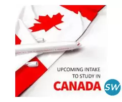 MSM Unify - Benefits of Enrolling in Each Intake - 3