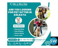 Professional Pet Sitter in Kolkata