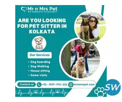Professional Pet Sitter in Kolkata
