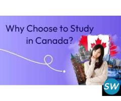 MSM unify - Why Study in Canada?