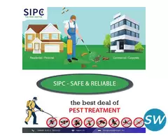 Rodent Control Services in Bangalore | SIPC