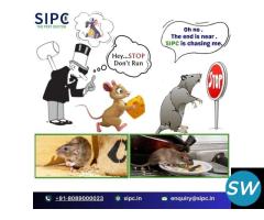 Rodent Control Services in Bangalore | SIPC