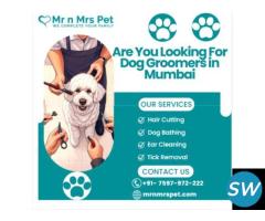 The Best Dog Groomers in Mumbai