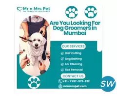 The Best Dog Groomers in Mumbai