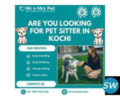 The Best Pet Sitter in Kochi