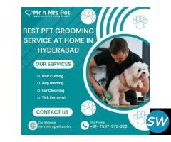 Best Pet Grooming Service at Home in Hyderabad