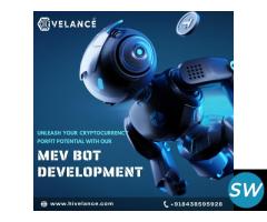 Mev Bot Development Company