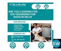 Professional Day Boarding For Dogs in Delhi - 1