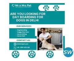 Professional Day Boarding For Dogs in Delhi