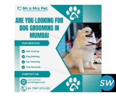 Best Dog Grooming in Mumbai