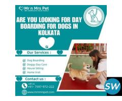 The Best Day Boarding for Dogs in Kolkata - 1