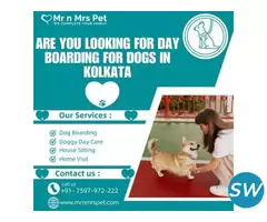 The Best Day Boarding for Dogs in Kolkata