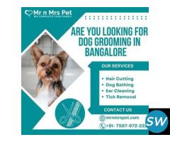 Professional Dog Grooming at Home in Bangalore - 1