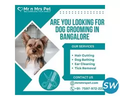 Professional Dog Grooming at Home in Bangalore