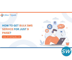 Bulk SMS Service Provider - 1