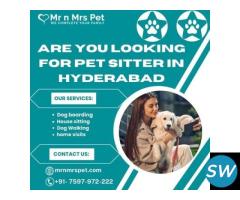 Best Pet Sitter in Hyderabad