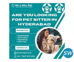 Best Pet Sitter in Hyderabad