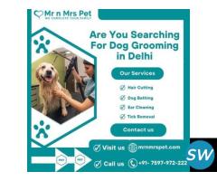 Best Dog Grooming at Home in Delhi- NCR