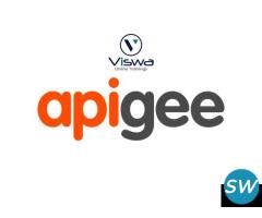 APIGEE Professional Training From India