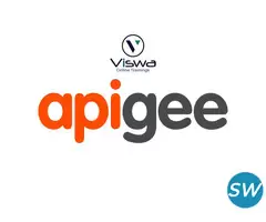 APIGEE Professional Training From India - 1