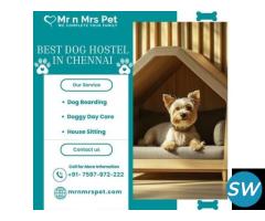 Explore The Best Dog Hostel in Chennai