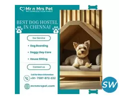 Explore The Best Dog Hostel in Chennai