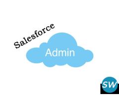 Salesforce Admin Training From India