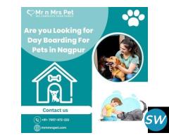 Professional Day Boarding for Pets in Nagpur