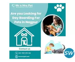 Professional Day Boarding for Pets in Nagpur