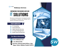 Custom IT Services for a Competitive Edge