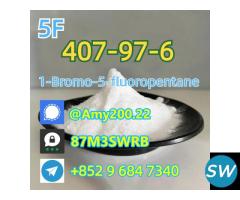 CAS 593-51-1  Methylamine hydrochloride