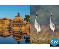 Bharatpur Weekend Tour from Delhi