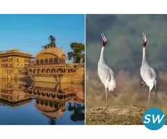 Bharatpur Weekend Tour from Delhi