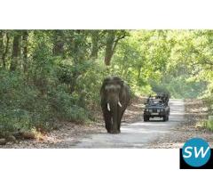 Delhi-Corbett National Park Weekend Tour