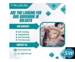 Best Dog Grooming at Home in Kolkata