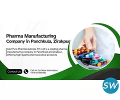 Pharma Manufacturing Company in Panchkula