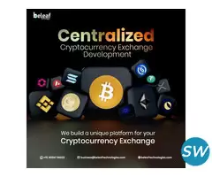 CEX Development Company