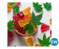 Bioheal CBD Gummies