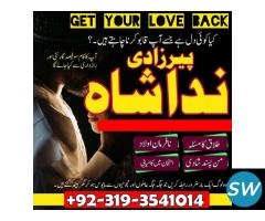 divorce problem solve, amil baba in canada