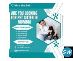 Professional Pet Sitter in Mumbai