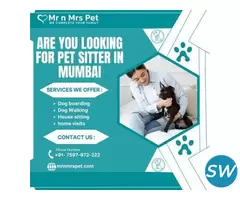 Professional Pet Sitter in Mumbai