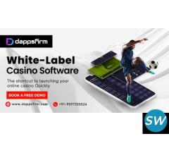 Whitelable Online Casino Game Solutions