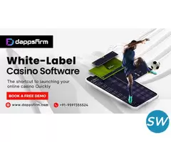 Whitelable Online Casino Game Solutions - 1