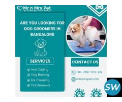 Best Dog Groomers in Bangalore at Affordable Price