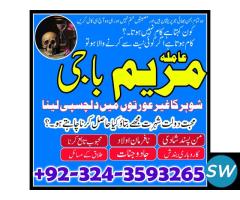 divorce problem solve, amil baba in canada